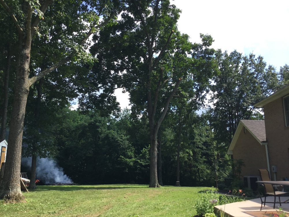 Backyard cleared of brush with a debris pile burning near the shed
