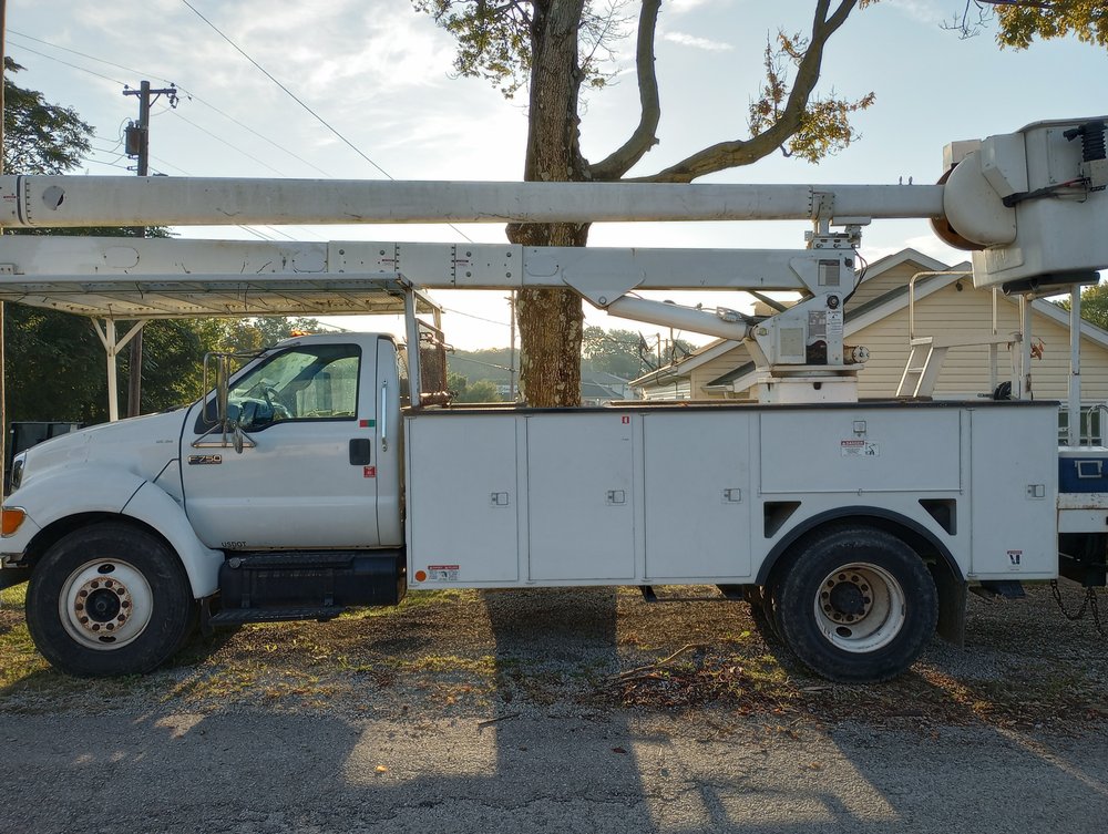 Bucket truck positioned near a large tree for canopy work